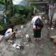 Image for article titled Watch Out for Cats!